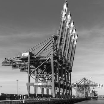Majestic harbor cranes at Hamburg port captured in stunning black and white.